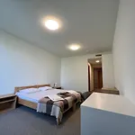 Panzió Ucu - кімнати для гостей Lviv