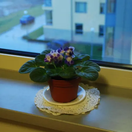 Ucu - кімнати для гостей Bed & Breakfast 3*