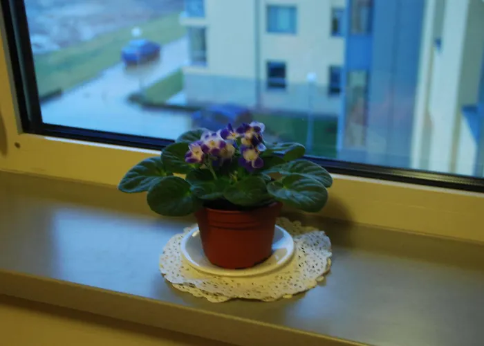 Ucu - кімнати для гостей Bed & Breakfast 3*